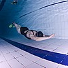 _DSC0212.jpg