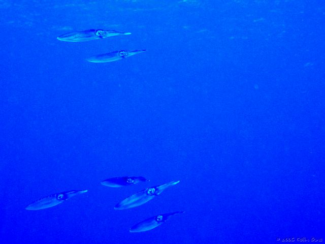PB050158.JPG