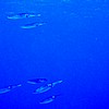 PB050158.JPG