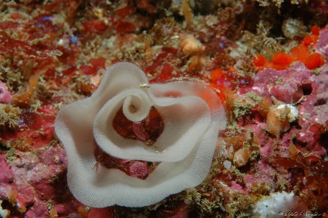 DSC_0049.JPG