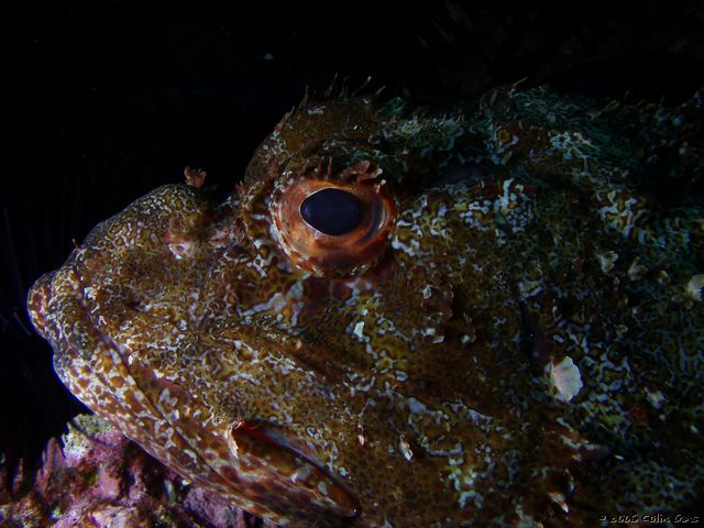 P4260006.JPG