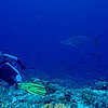 098DSC_0013_M1117.JPG