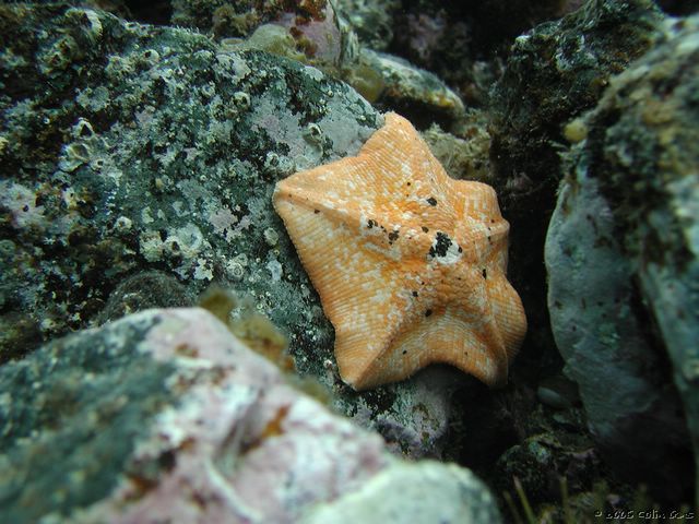 P9300001.JPG