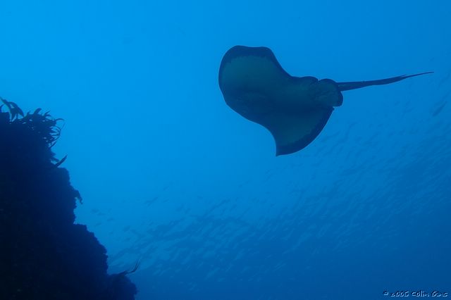 DSC_0063.jpg