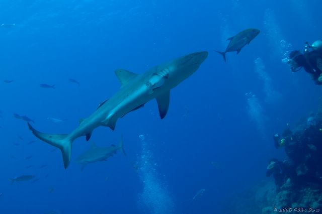 DSC3_0056.jpg