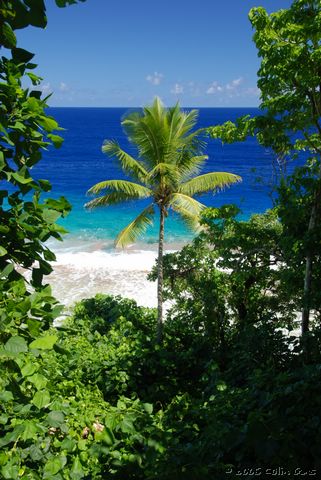 Niue, April 2007