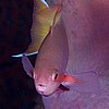 SOL070709463.jpg
