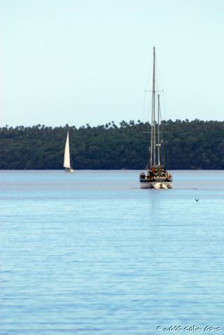 DSC_2920.JPG