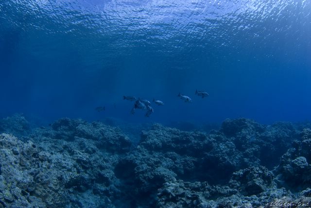 IUE070907081.JPG