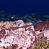 IUE070910185.JPG
