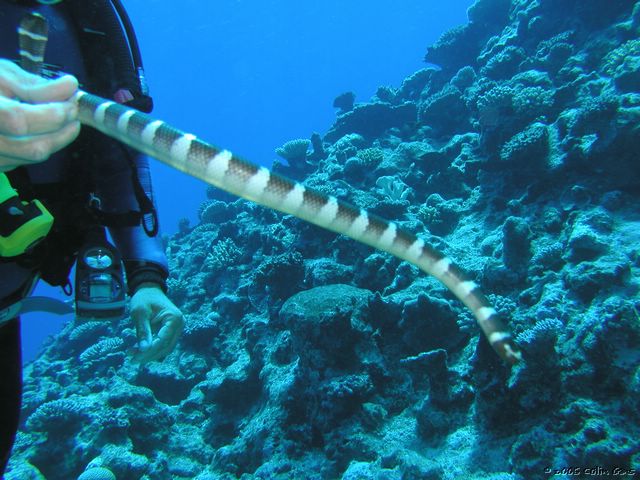 PB010107.JPG
