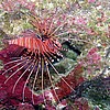 PA300088.JPG