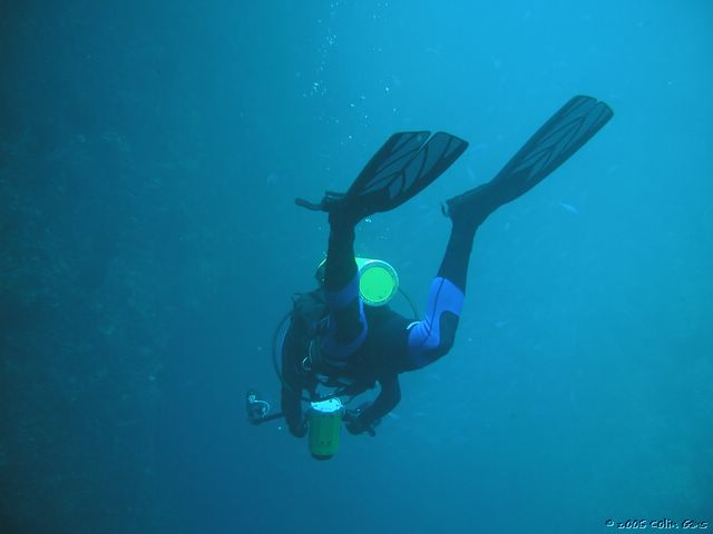 P1160007.JPG