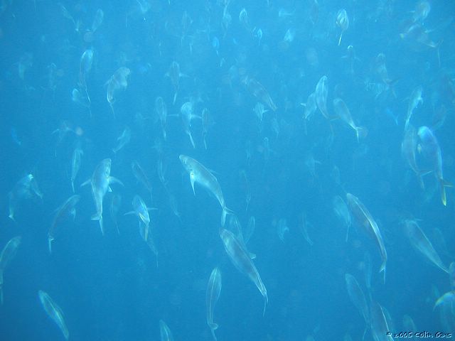 P1160069.JPG
