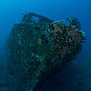 FJS140117_0272.jpg