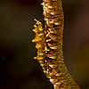 FJS140121_1339.jpg