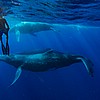 THU160830_3416.jpg