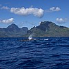_DSC2147.jpg