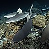 TUA180816_1953.JPG