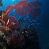 FJ190514_3275.jpg
