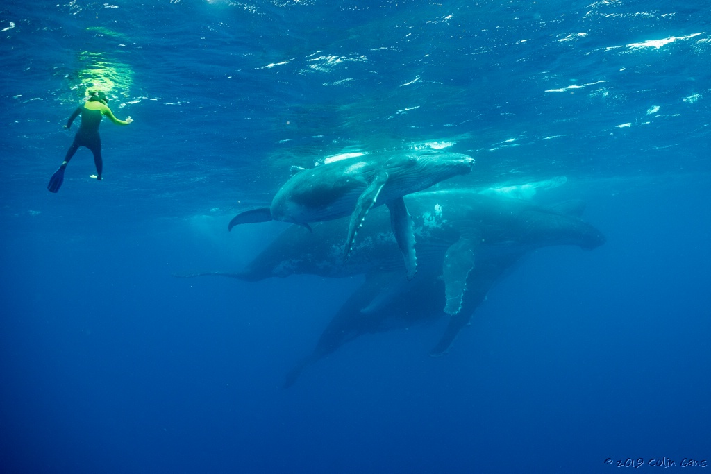 MOR20191007_5546.jpg
