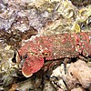P7130068.JPG