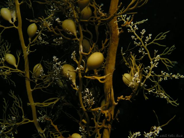 PA160120.JPG